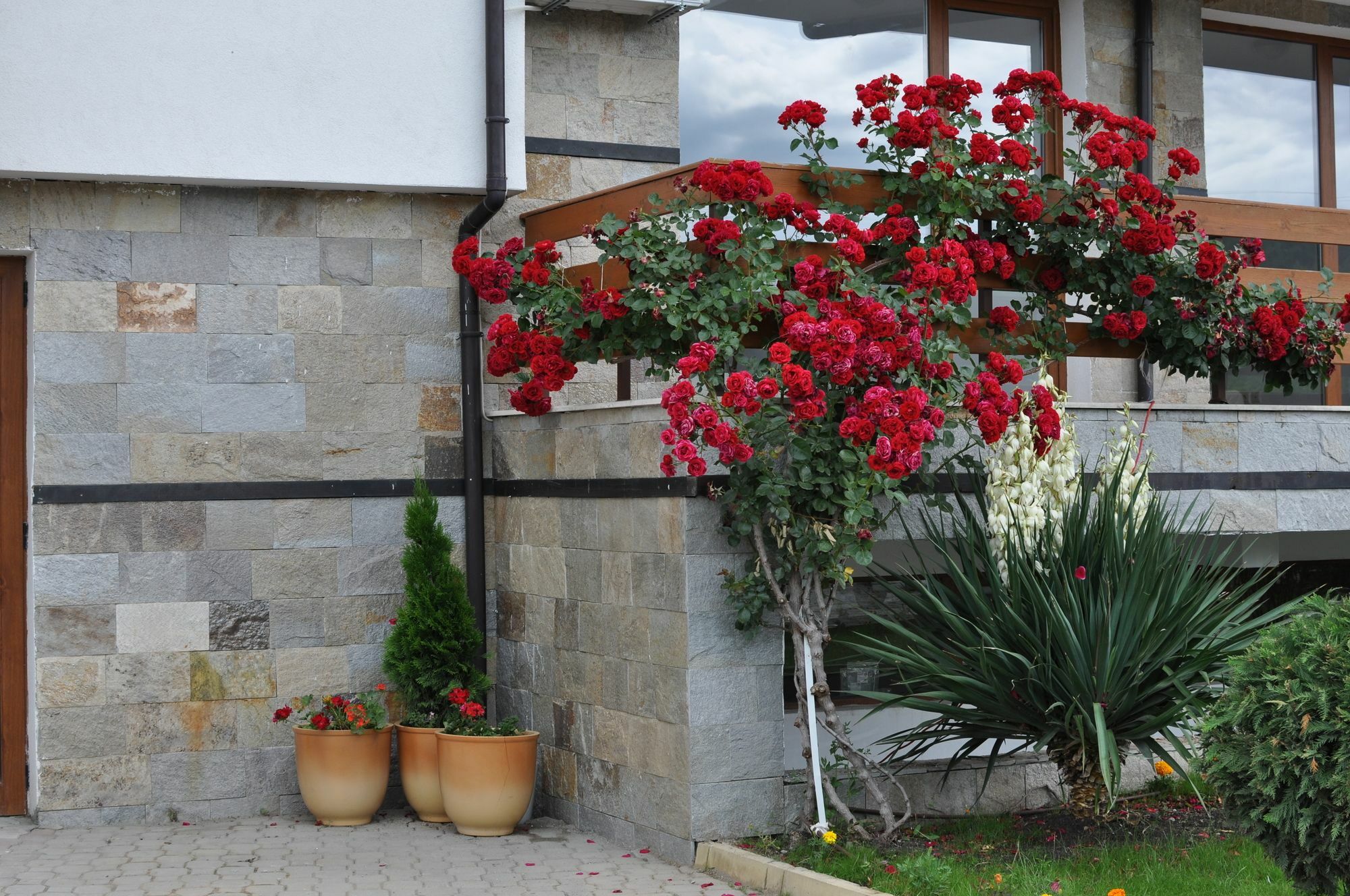 Gardenia Hills Hotel Slantschew brjag Exterior foto